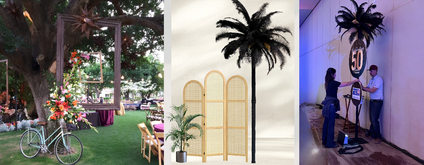 Gallery frames, rattan divider and feather palm trees